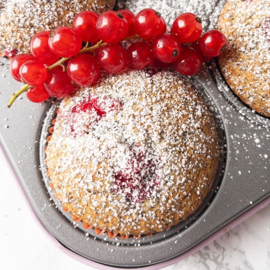 Schnelle Ribisel-Mohn Muffins – der Sommer ist noch nicht&nbsp;vorbei!
